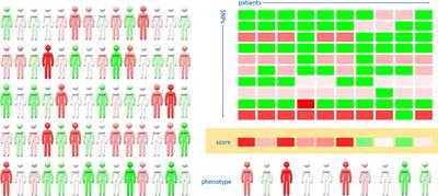 Germline Genetic Variants of Viral Entry and Innate Immunity May Influence Susceptibility to SARS-CoV-2 Infection: Toward a Polygenic Risk Score for Risk Stratification